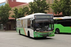 Bus-316-Tuggeranong-Bus-Station