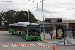 Bus-317-Cohen-St-Station