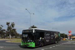 Bus-319-Longmore-Crescent