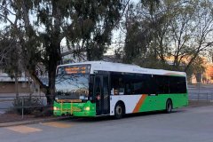 Bus319-Woden-Inter-1x