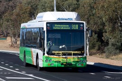 Bus320-College-Street