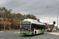 Bus-320-College-Street