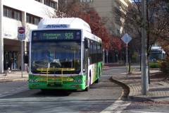 Bus-320-Woden-Interchange