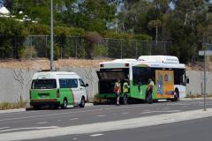 Bus-321-Cohen-Street