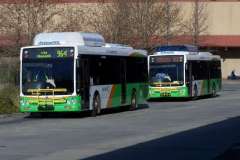 Bus-321-Tuggeranong-Interchange