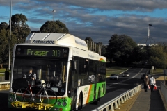 Bus-324-Commonwealth-Avenue