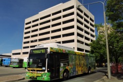 Bus-330-Bowes-Street