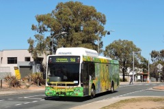 Bus-330-Comrie-Street