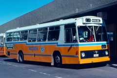 Bus-331-Woden-Interchange