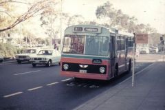 Bus-333-Northbourne-Avenue