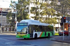 Bus-333-Northbourne-Avenue