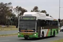 Bus-334-Athllon-Drive