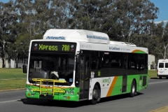 Bus-334-Northbourne-Avenue