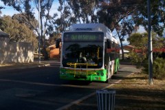 BUS 335 - SPENCE TERMINUS