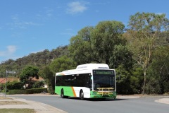 BUS 335 - TEMPLESTOWE AVE