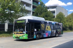 BUS 335 - TUGGERANONG INTERCHANGE