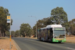 BUS 335 - LEARMONTH DR