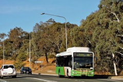 Bus-337-College-Street