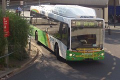 Bus-337-Woden-Interchange-2