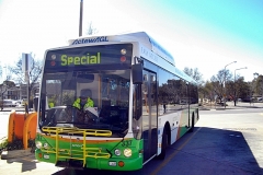 Bus-337-Woden-Interchange-3