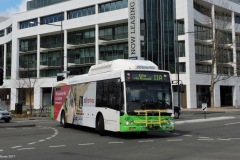 Bus-338-Constitution-Avenue