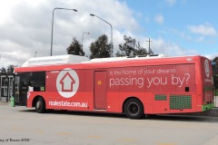 Bus-339-Cohen-St-Bus-Station-2-