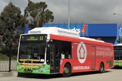 Bus-339-Cohen-Street-Bus-Station-1-