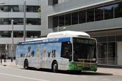 Bus-340-City-Bus-Station-4