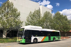 Bus-341-Tuggeranong-Bus-Station