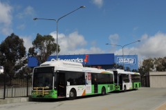 Bus-343-Cohen-Street-Bus-Station-with-Bus-576-