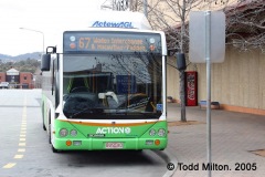 Bus-343-Tuggeranong1