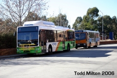 Bus-343-Tuggeranong3