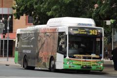 Bus-343-Tuggeranong5