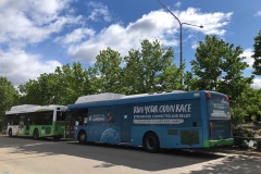 Bus343-Woden-Interchange-with-Bus351