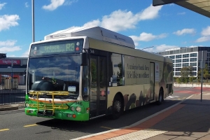 BUS 346-2