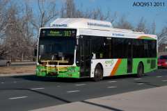 Bus-346-Commonwealth-Avenue