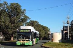 BUS347 - Cunningham Street