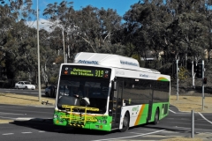 Bus-349-Haydon-Drive