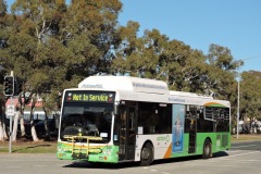 Bus-350-Soward-Way