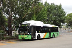 Bus-351-Woden-Bus-Station