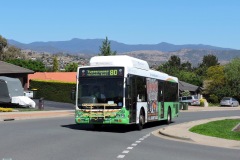 Bus353-Templestowe-Avenue