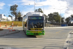 Bus-354-Cohen-Street