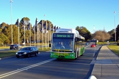 Bus-354-Commonwealth-Avenue