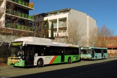 Bus-360-Tuggeranong-w967