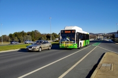 Bus-362-Commonwealth-Avenue