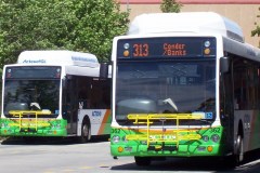 Bus-362-Tuggeranong-Interchange