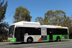 Bus-364-Belconnen-Way