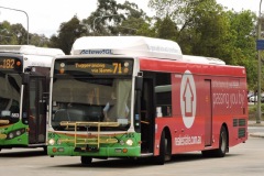 Bus-365-Woden-Bus-Station-2-