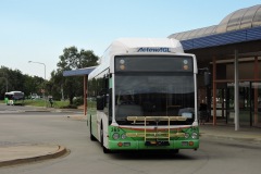 Bus-365-Woden-Bus-Station