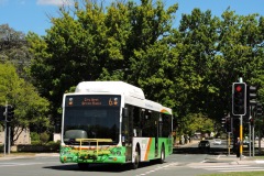 Bus-366-Queen-Victoria-Terrace